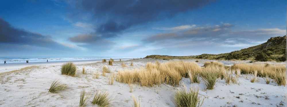 Dünen auf Norderney entlang der Nordsee als Symbol für Abstand, Ruhe und Klarheit bei Paarberatung und Paarcoaching