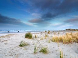 Abstand gewinnen, klarer sehen – Beratung auf Norderney